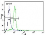 Flow cytometry testing of human HeLa cells with Ubiquitin-protein ligase E3A antibody; Blue=isotype control, Green= Ubiquitin-protein ligase E3A antibody.