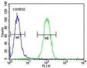Flow cytometry testing of human A2058 cells with PA2G4 antibody; Blue=isotype control, Green= PA2G4 antibody.
