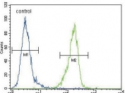 Flow cytometry testing of human MDA-MB-435 cells with ENPP2 antibody; Blue=isotype control, Green= ENPP2 antibody.