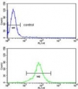Flow cytometry testing of human HEK293 cells with PSMD13 antibody; Blue=isotype control, Green= PSMD13 antibody.