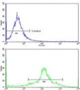 Flow cytometry testing of human WiDr cells with PDIA3 antibody; Blue=isotype control, Green= PDIA3 antibody.