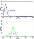 Flow cytometry testing of human HEK293 cells with Peroxiredoxin 1 antibody; Blue=isotype control, Green= Peroxiredoxin 1 antibody.