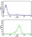 Flow cytometry testing of human CCRF-CEM cells with PRDX6 antibody; Blue=isotype control, Green= PRDX6 antibody.