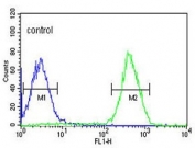 Flow cytometry testing of human HepG2 cells with PFAS antibody; Blue=isotype control, Green= PFAS antibody.