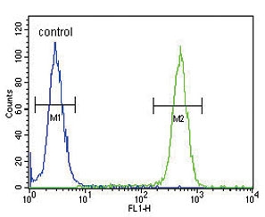 Flow cytometry testing of human HEK293 cells with ASMT antibody; Blue=isotype control, Green= ASMT antibody.