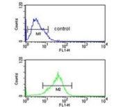 Flow cytometry testing of human MCF7 cells with PRP19 antibody; Blue=isotype control, Green= PRP19 antibody.