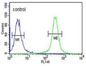 Flow cytometry testing of human K562 cells with HSP90B1 antibody; Blue=isotype control, Green= HSP90B1 antibody.