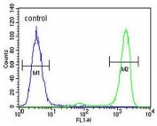 Flow cytometry testing of human A375 cells with Inosine triphosphate pyrophosphatase antibody; Blue=isotype control, Green= Inosine triphosphate pyrophosphatase antibody.