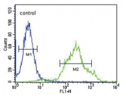 Flow cytometry testing of human HEK293 cells with ZDHHC21 antibody; Blue=isotype control, Green= ZDHHC21 antibody.