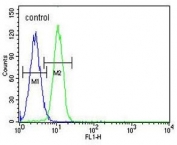 Flow cytometry testing of human K562 cells with G6PC antibody; Blue=isotype control, Green= G6PC antibody.