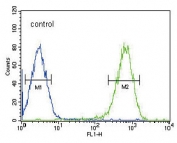 Flow cytometry testing of human HepG2 cells with Pyruvate Dehydrogenase E2 antibody; Blue=isotype control, Green= Pyruvate Dehydrogenase E2 antibody.