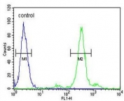 Flow cytometry testing of human HEK293 cells with PGD antibody; Blue=isotype control, Green= PGD antibody.