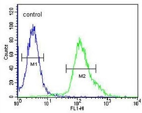 Flow cytometry testing of human HEK293 cells with FGFBP3 antibody; Blue=isotype control, Green= FGFBP3 antibody.