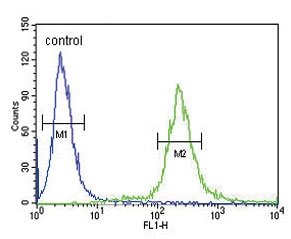 Flow cytometry testing of human HEK293 cells with ADCYAP1 antibody; Blue=isotype control, Green= ADCYAP1 antibody.