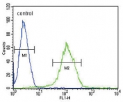 Flow cytometry testing of human CCRF-CEM cells with FHR-5 antibody; Blue=isotype control, Green= FHR-5 antibody.