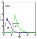 Flow cytometry testing of human Jurkat cells with Kelch-like protein 6 antibody; Blue=isotype control, Green= Kelch-like protein 6 antibody.