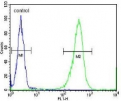 Flow cytometry testing of human WiDr cells with DIRAS3 antibody; Blue=isotype control, Green= DIRAS3 antibody.