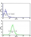 Flow cytometry testing of human NCI-H460 cells with Beta-secretase 1 antibody; Blue=isotype control, Green= Beta-secretase 1 antibody.