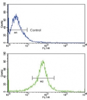 Flow cytometry testing of human MCF7 cells with MMP14 antibody; Blue=isotype control, Green= MMP14 antibody.