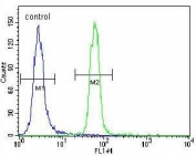 Flow cytometry testing of human HeLa cells with Presenilin 1 antibody; Blue=isotype control, Green= Presenilin 1 antibody.