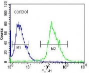 Flow cytometry testing of human HEK293 cells with KLK6 antibody; Blue=isotype control, Green= KLK6 antibody.