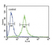 Flow cytometry testing of human HEK293 cells with IL1RN antibody; Blue=isotype control, Green= IL1RN antibody.