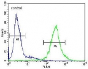 Flow cytometry testing of human HepG2 cells with Interleukin-1 Receptor Antagonist antibody; Blue=isotype control, Green= Interleukin-1 Receptor Antagonist antibody.