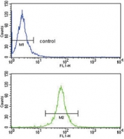 Flow cytometry testing of human HepG2 cells with DCN antibody; Blue=isotype control, Green= DCN antibody.