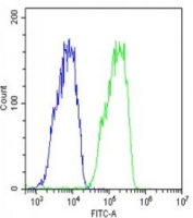 Flow cytometry testing of fixed and permeabilized human HepG2 cells with Transthyretin antibody; Blue=isotype control, Green= Transthyretin antibody.