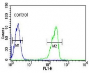 Flow cytometry testing of human HL60 cells with LRG1 antibody; Blue=isotype control, Green= LRG1 antibody.