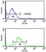 Flow cytometry testing of human HEK293 cells with Leucine-rich alpha-2-glycoprotein antibody; Blue=isotype control, Green= Leucine-rich alpha-2-glycoprotein antibody.