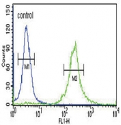 Flow cytometry testing of human HEK293 cells with Inhibin alpha antibody; Blue=isotype control, Green= Inhibin alpha antibody.