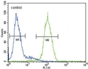 Flow cytometry testing of human HepG2 cells with Galactosidase alpha antibody; Blue=isotype control, Green= Galactosidase alpha antibody.