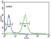Flow cytometry testing of human HeLa cells with HPRT1 antibody; Blue=isotype control, Green= HPRT1 antibody.