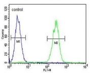 Flow cytometry testing of human MDA-MB-231 cells with Corticotropin-releasing factor receptor 2 antibody; Blue=isotype control, Green= Corticotropin-releasing factor receptor 2 antibody.