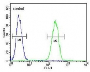 Flow cytometry testing of human MDA-MB-231 cells with HPGD antibody; Blue=isotype control, Green= HPGD antibody.