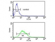 Flow cytometry testing of human NCI-H460 cells with KCNJ2 antibody; Blue=isotype control, Green= KCNJ2 antibody.