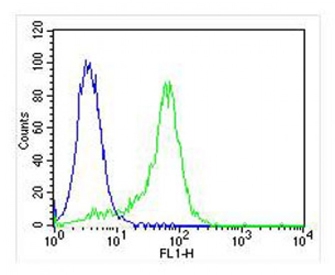 Flow cytometry testing of fixed and permeabil