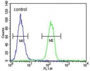 Flow cytometry testing of human A375 cells with GSN antibody; Blue=isotype control, Green= GSN antibody.