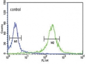 Flow cytometry testing of human HeLa cells with Krueppel-like factor 5 antibody; Blue=isotype control, Green= Krueppel-like factor 5 antibody.