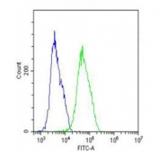 Flow cytometry testing of fixed and permeabilized human MCF7 cells with Vitronectin antibody; Blue=isotype control, Green= Vitronectin antibody.