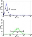 Flow cytometry testing of human Ramos cells with Pericentriolar material 1 protein antibody; Blue=isotype control, Green= Pericentriolar material 1 protein antibody.