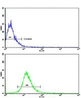 Flow cytometry testing of human NCI-H292 cells with DPT antibody; Blue=isotype control, Green= DPT antibody.