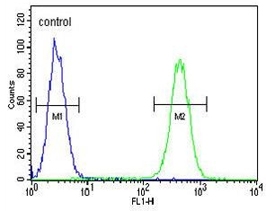 Flow cytometry testing of human MDA-MB-231 cells with FKBP1A antibody; Blue=isotype control, Green= FKBP1A antibody.
