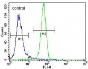 Flow cytometry testing of human NCI-H460 cells with Beta-nerve growth factor antibody; Blue=isotype control, Green= Beta-nerve growth factor antibody.