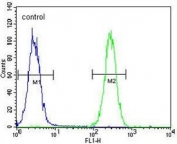 Flow cytometry testing of human K562 cells with Brain-specific angiogenesis inhibitor 1 antibody; Blue=isotype control, Green= Brain-specific angiogenesis inhibitor 1 antibody.