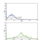 Flow cytometry testing of human NCI-H292 cells with Phospholipase A2 antibody; Blue=isotype control, Green= Phospholipase A2 antibody.