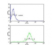 Flow cytometry testing of human MDA-MB-231 cells with PEA15 antibody; Blue=isotype control, Green= PEA15 antibody.