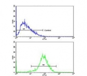 Flow cytometry testing of human HepG2 cells with HPD antibody; Blue=isotype control, Green= HPD antibody.