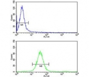 Flow cytometry testing of human HeLa cells with Mitochondrial amidoxime reducing component 2 antibody; Blue=isotype control, Green= Mitochondrial amidoxime reducing component 2 antibody.